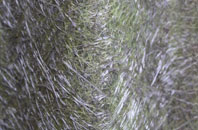 Clashandorran fibreglass roof work